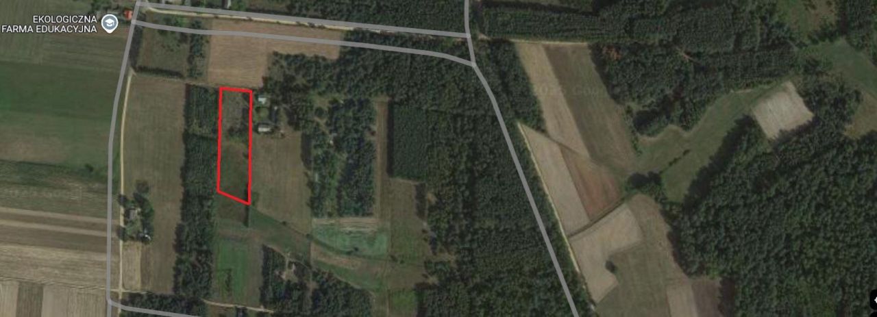 Działka rolno-budowlana Lipiny. Zdjęcie 9