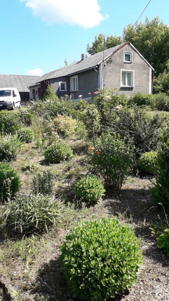 Działka budowlana Kownaty. Zdjęcie 8