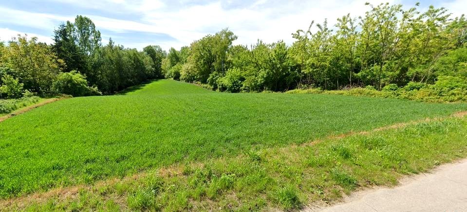 dom wolnostojący, 4 pokoje Szarbia Zwierzyniecka. Zdjęcie 6