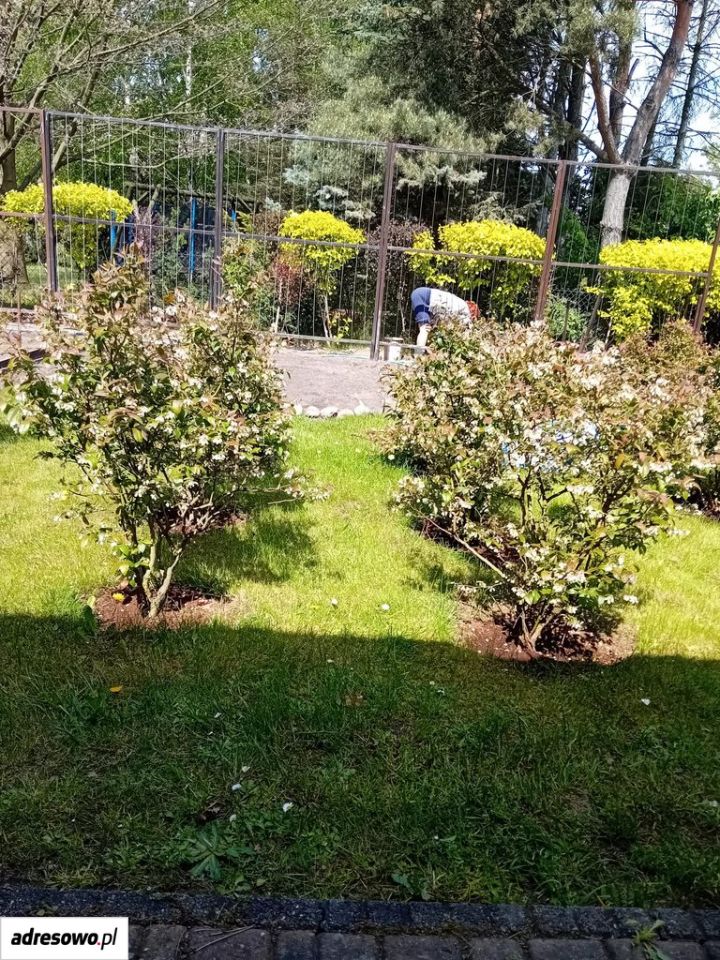 Działka rekreacyjna Wrząca, ul. Wiejska. Zdjęcie 7