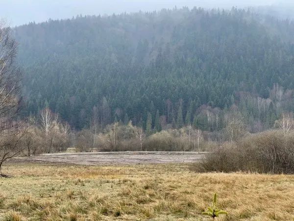 Działka inwestycyjna Krzywe