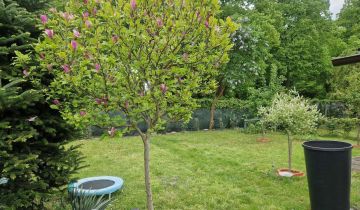 Działka rod Łódź Górna, ul. Pryncypalna