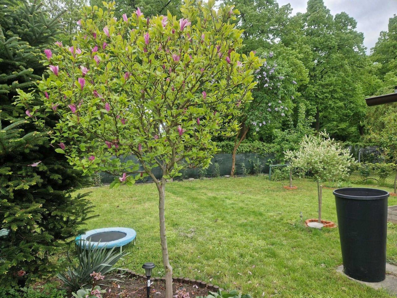 Działka rod Łódź Górna, ul. Pryncypalna. Zdjęcie 2