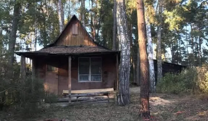 Działka rolno-budowlana Trzcianka Brzezina