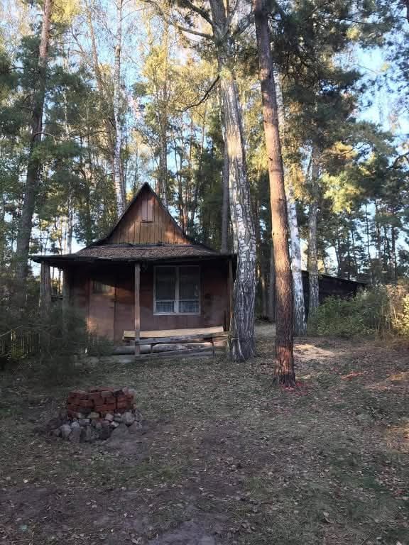 Działka rolno-budowlana Trzcianka Brzezina