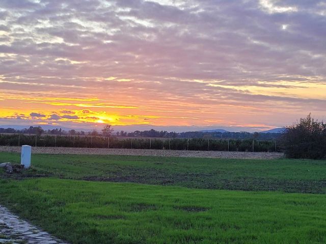 Działka budowlana Domaniów, ul. Wiosenna. Zdjęcie 1