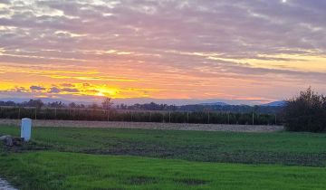 Działka budowlana Domaniów, ul. Wiosenna