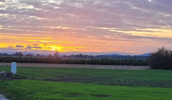 Działka budowlana Domaniów, ul. Wiosenna