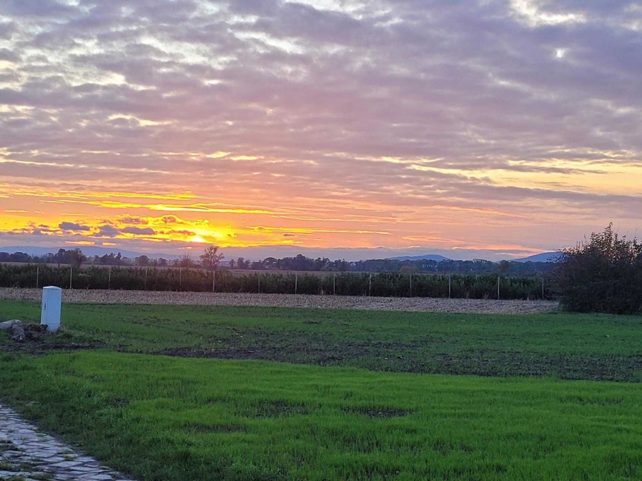 Działka budowlana Domaniów, ul. Wiosenna