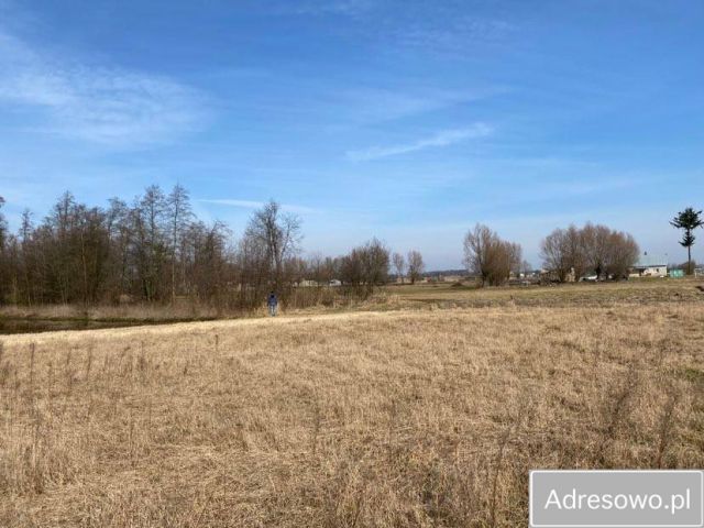 Działka rolna Strzegocin. Zdjęcie 1