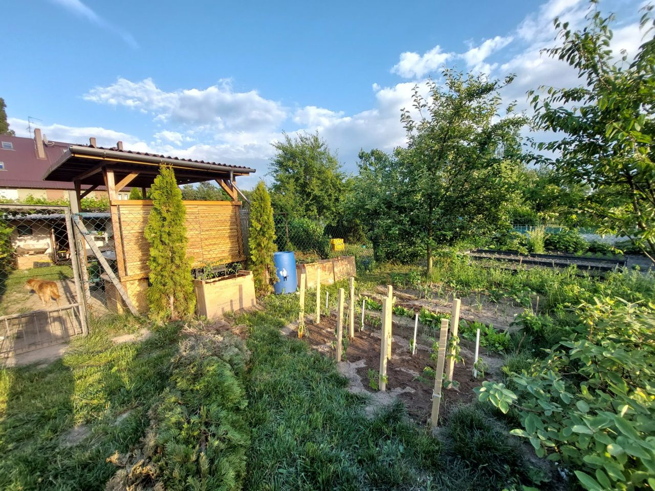 Mieszkanie 2-pokojowe Niemodlin, ul. Daszyńskiego. Zdjęcie 9