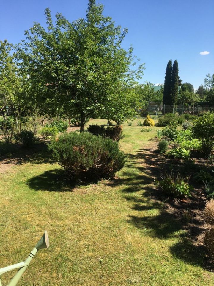 Działka rekreacyjna Chełmno. Zdjęcie 3