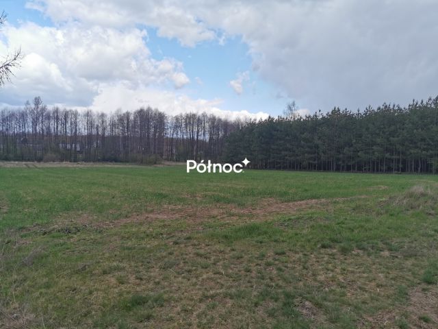 Działka rolna Grabowiec. Zdjęcie 13