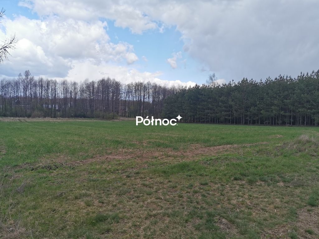 Działka rolna Grabowiec. Zdjęcie 13