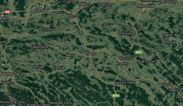dom wolnostojący Jasło