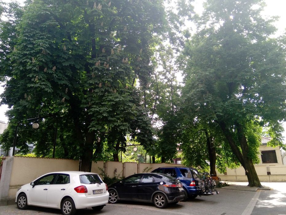 Mieszkanie 1-pokojowe Łódź, ul. Piotrkowska. Zdjęcie 4