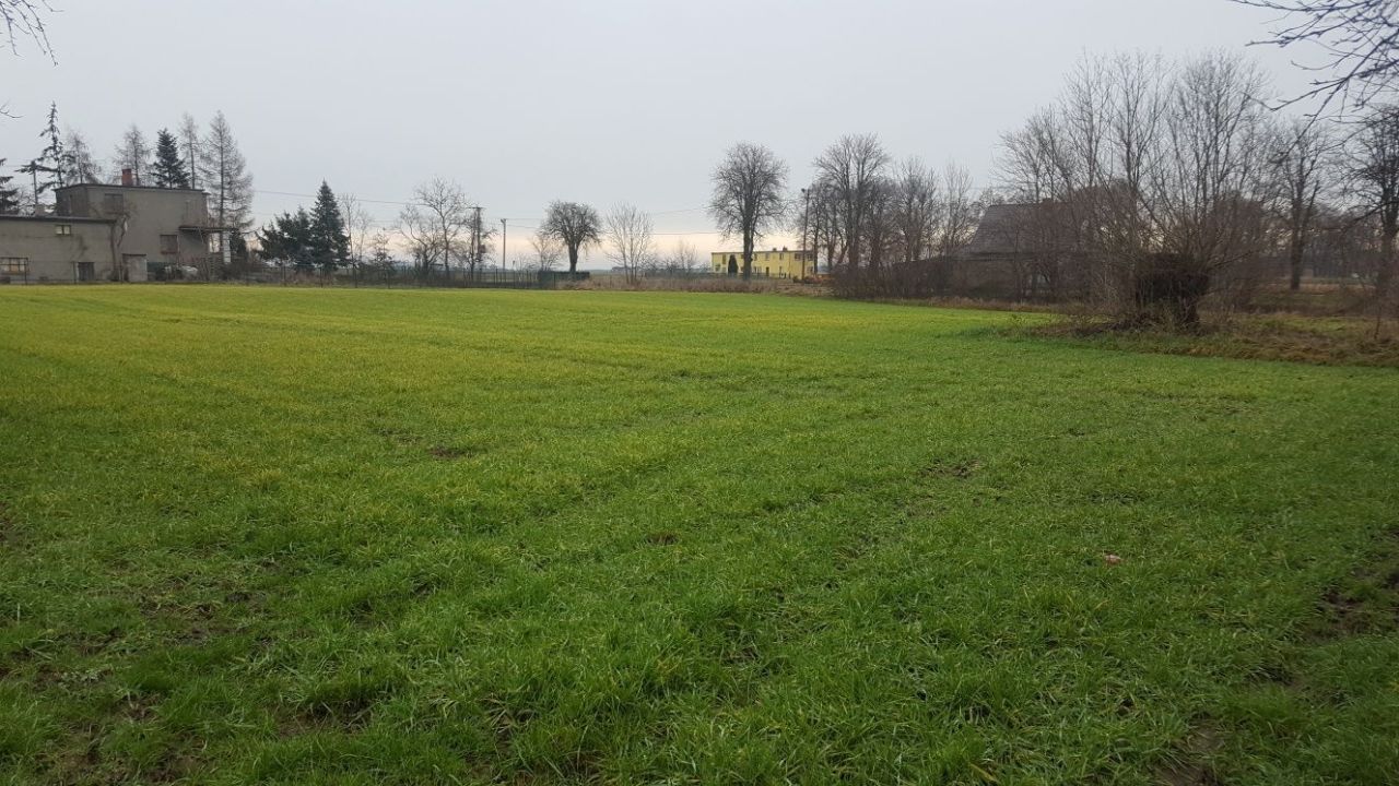 Działka budowlana Żydowo. Zdjęcie 5