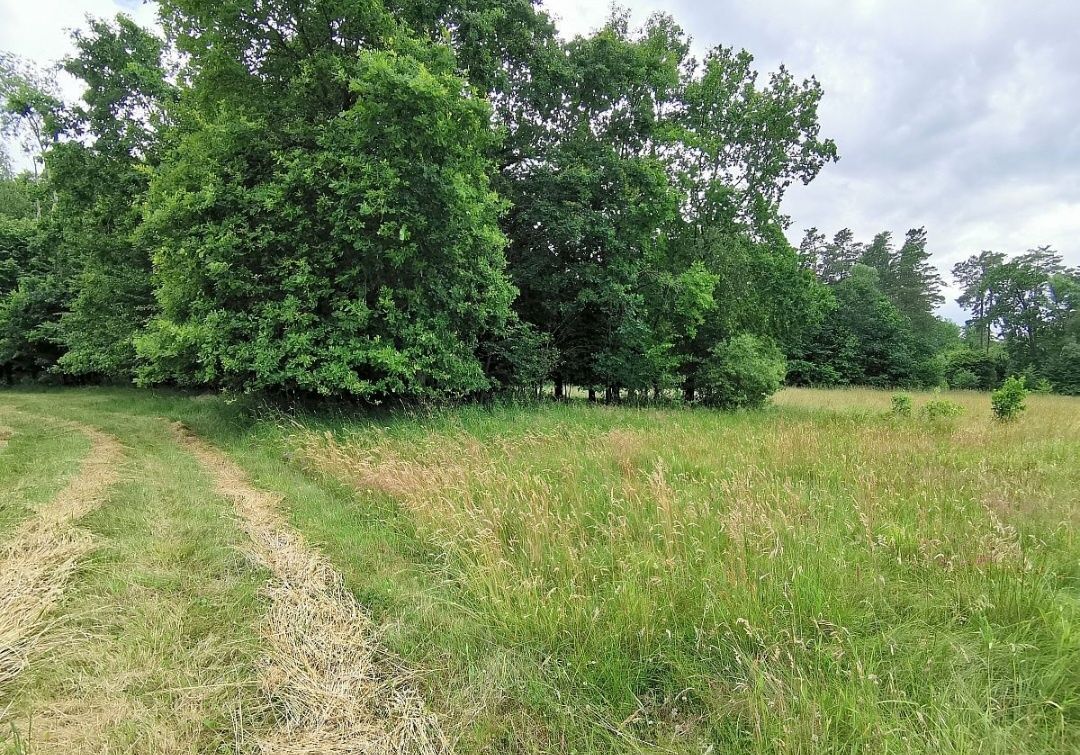 Działka rolna Malinówka. Zdjęcie 6