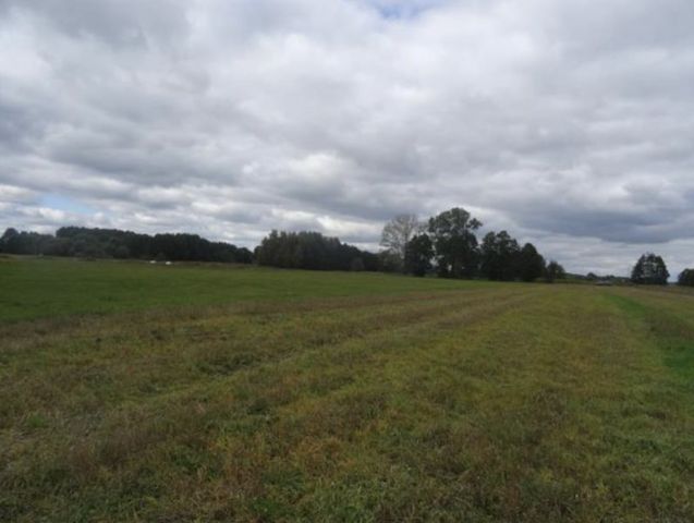 Działka rolna Kuflew. Zdjęcie 1