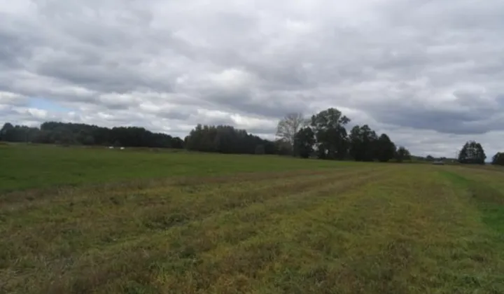 Działka rolna Kuflew