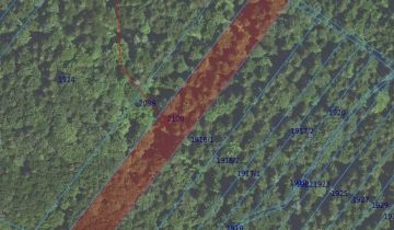 Działka leśna Pielgrzymka