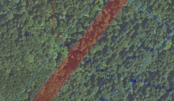 Działka leśna Pielgrzymka