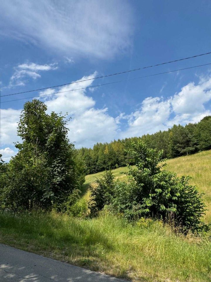 Działka rolna Jerzmanowice. Zdjęcie 2