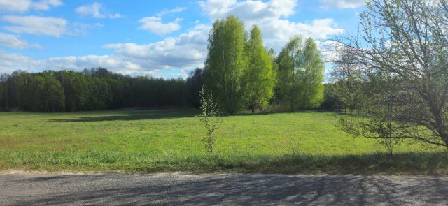 Działka budowlana Husinka. Zdjęcie 1
