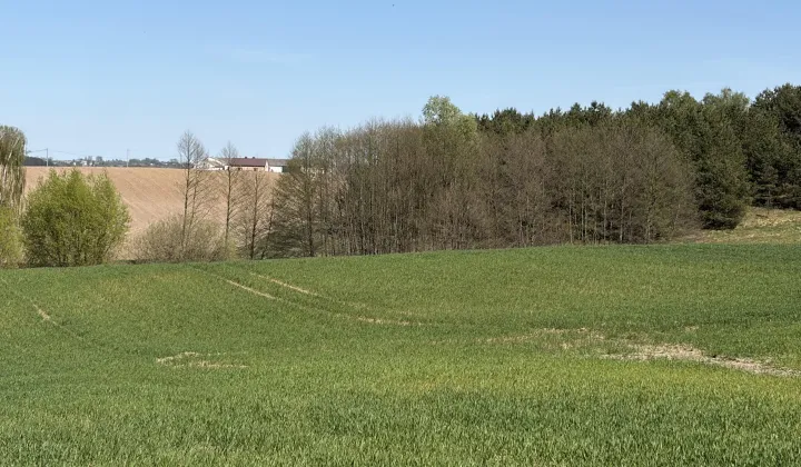 Działka rolna Łapinóżek