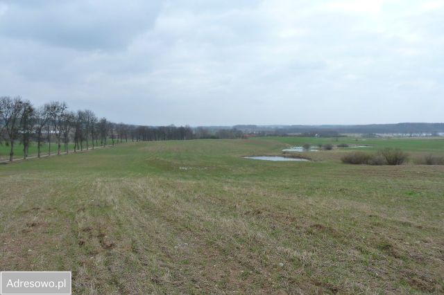 Działka budowlana Orło. Zdjęcie 7