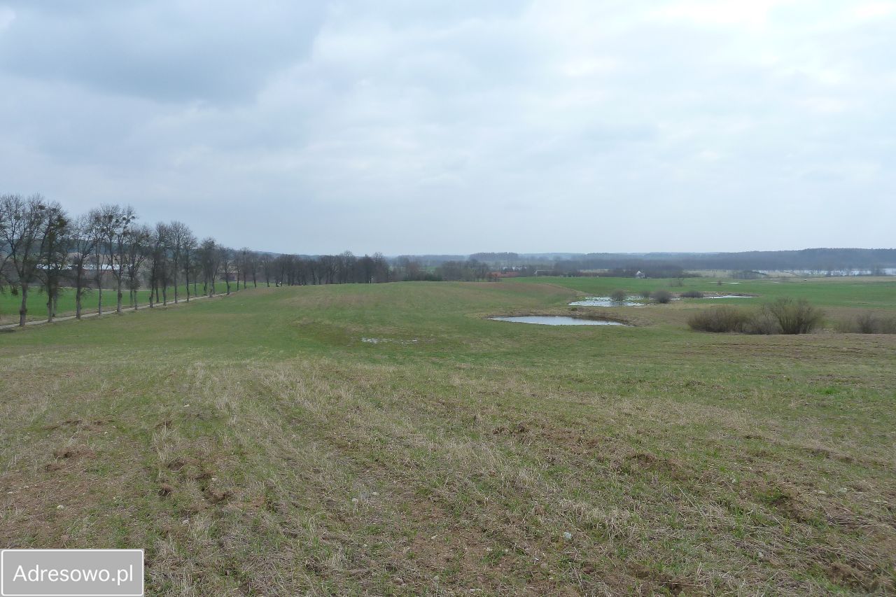 Działka budowlana Orło. Zdjęcie 7