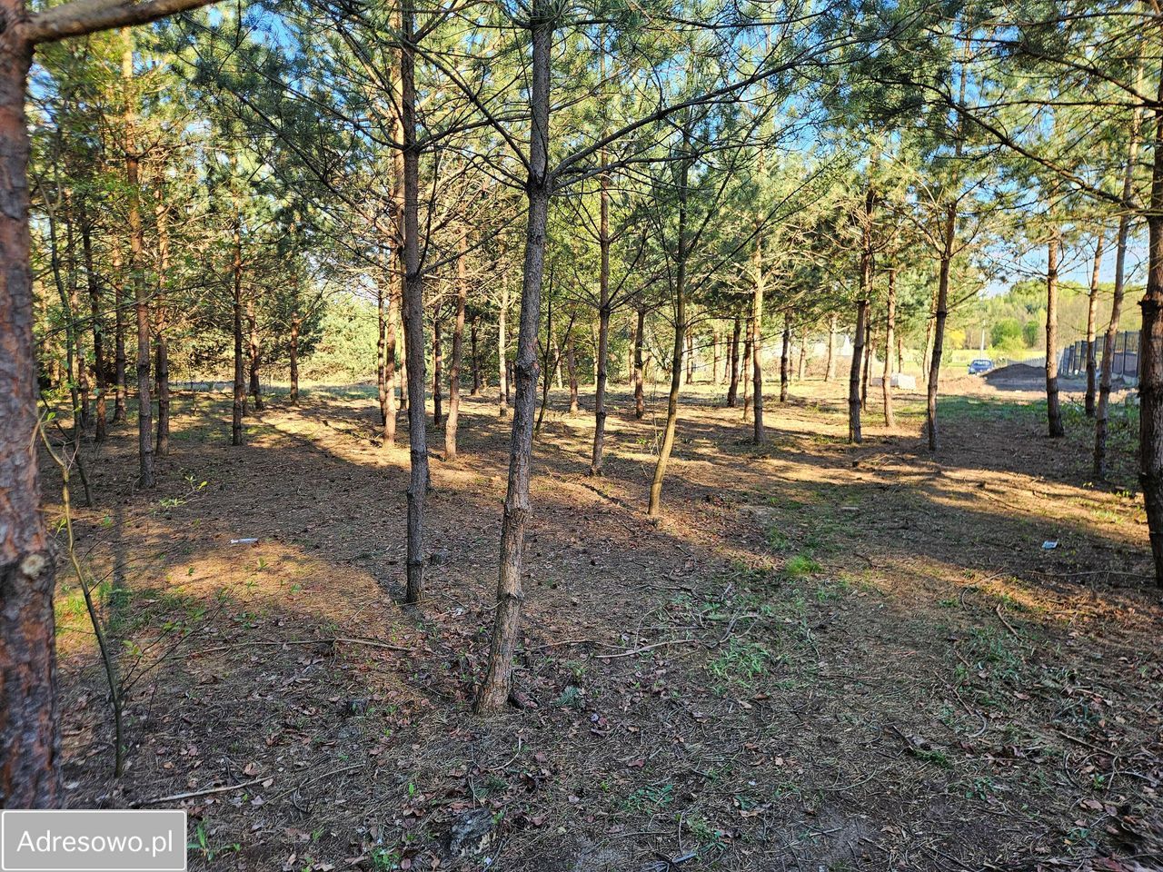 Działka budowlana Tomaszów Mazowiecki Podoba, ul. Torowa. Zdjęcie 10