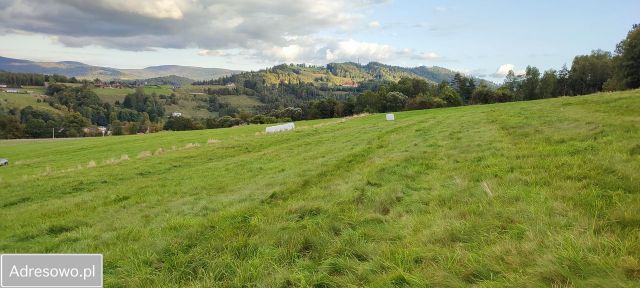 Działka budowlana Wisła Kopydło, ul. Reymonta. Zdjęcie 1