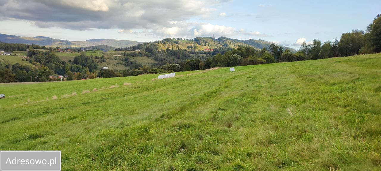 Działka budowlana Wisła Kopydło, ul. Reymonta