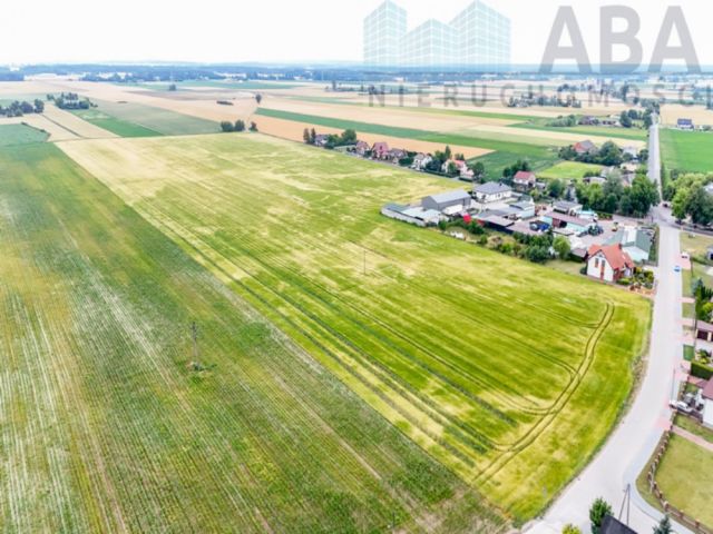 Działka budowlana Sadlno. Zdjęcie 4