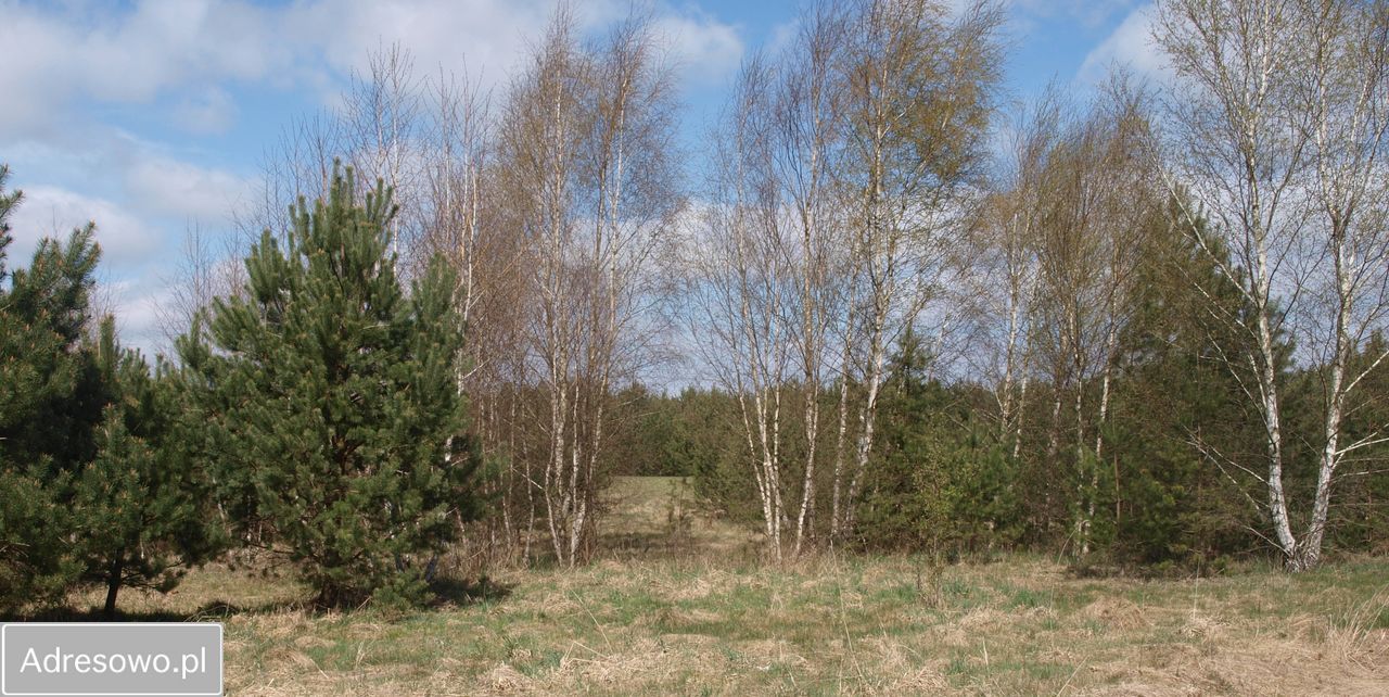 Działka rekreacyjna Lipy. Zdjęcie 9