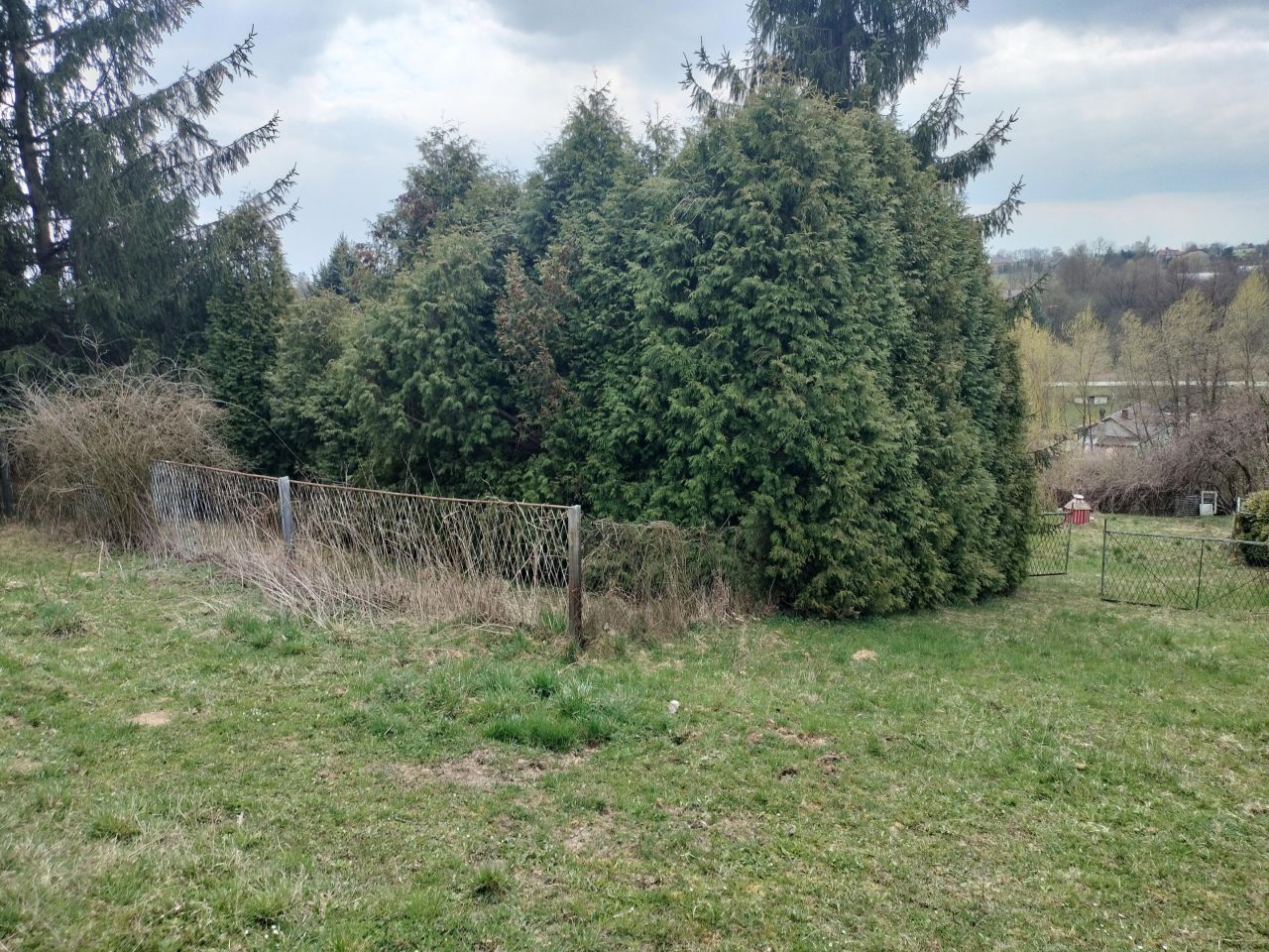 Działka rolno-budowlana Minoga. Zdjęcie 15