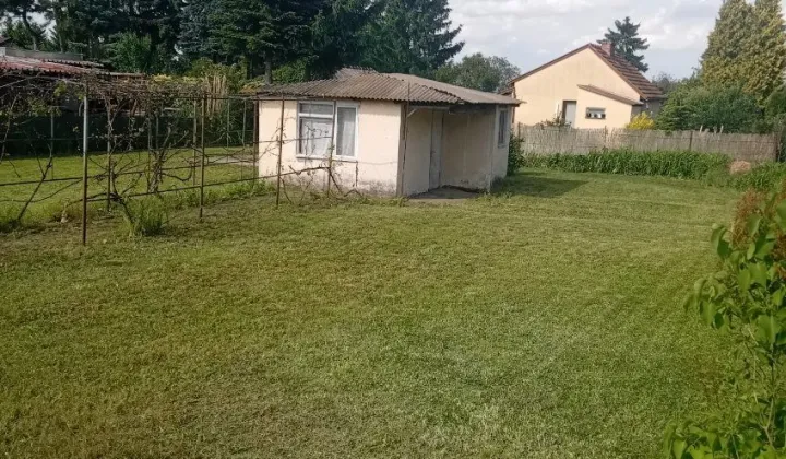 Działka rod Śrem