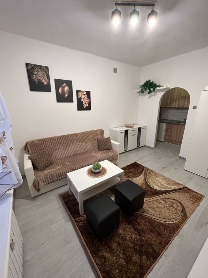 Mieszkanie 1-pokojowe Tychy, al. Niepodległości. Zdjęcie 3