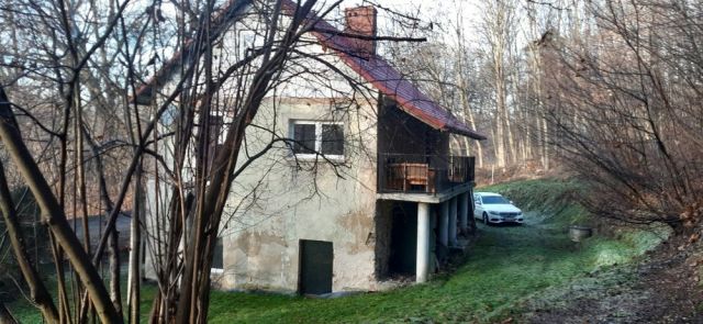 dom wolnostojący, 4 pokoje Janowice Duże. Zdjęcie 1