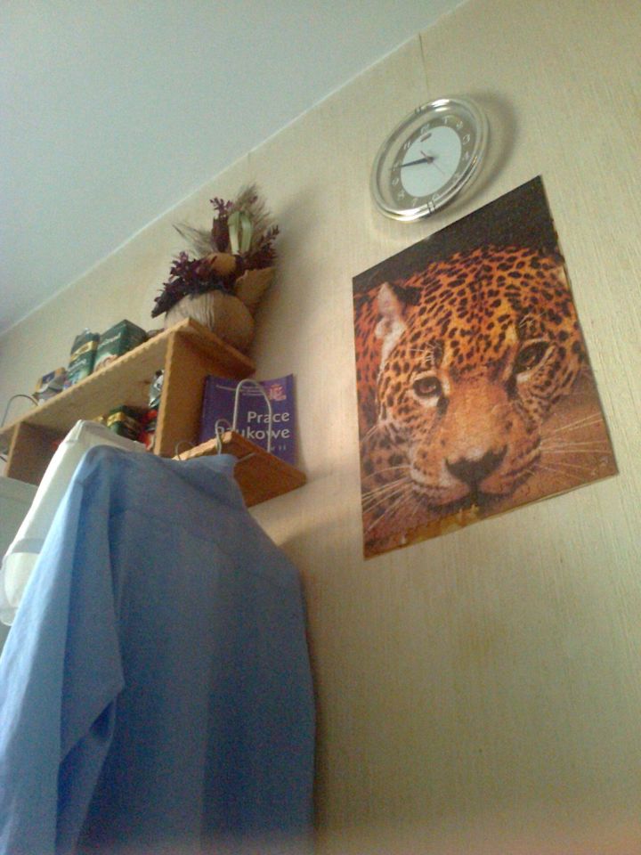 Działka budowlana Trojanowice, ul. Widokowa. Zdjęcie 23