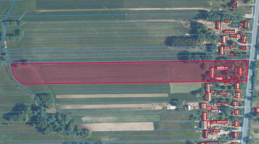 Działka rolno-budowlana Kisielsk. Zdjęcie 10