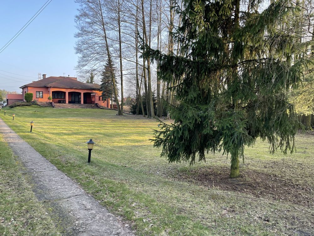 dom wolnostojący Michałów-Reginów. Zdjęcie 4