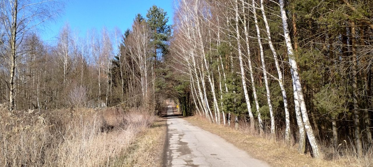 Działka budowlana Swoboda. Zdjęcie 14