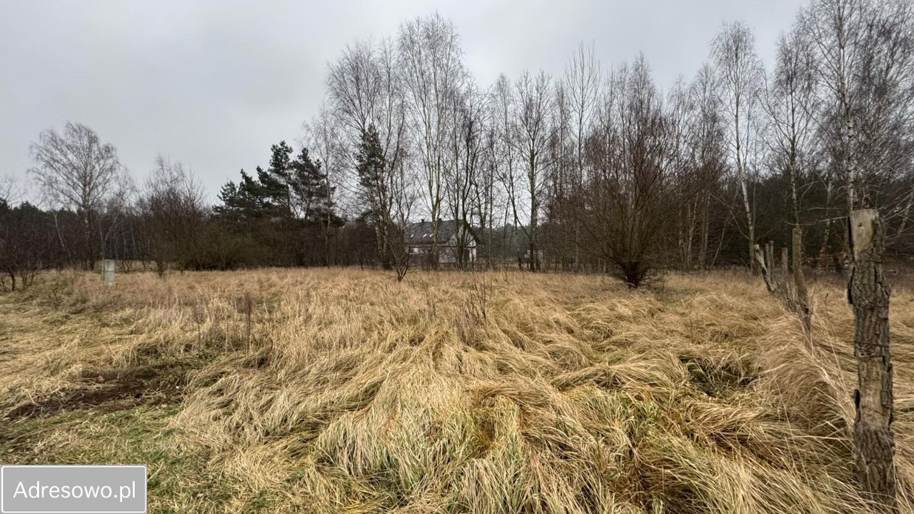 Działka budowlana Gronówko. Zdjęcie 4