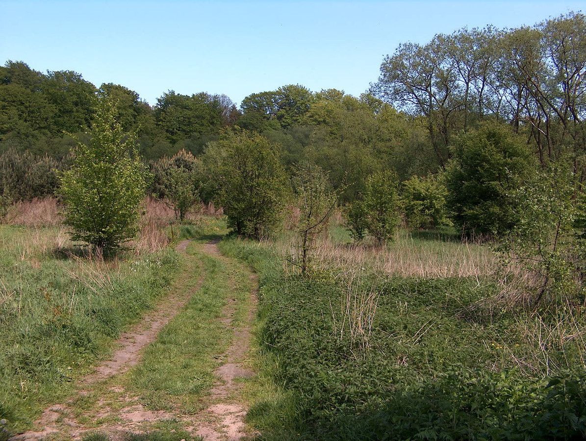 Działka budowlana Włynkówko, ul. Aleja nad Rzeką. Zdjęcie 11