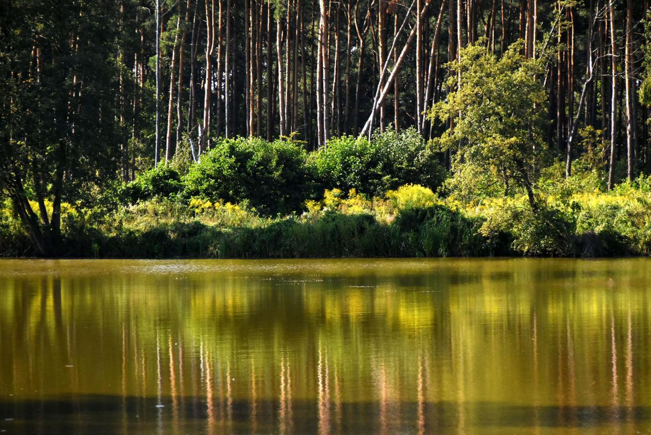Mieszkanie 2-pokojowe Siemiatycze, ul. 11 Listopada. Zdjęcie 21