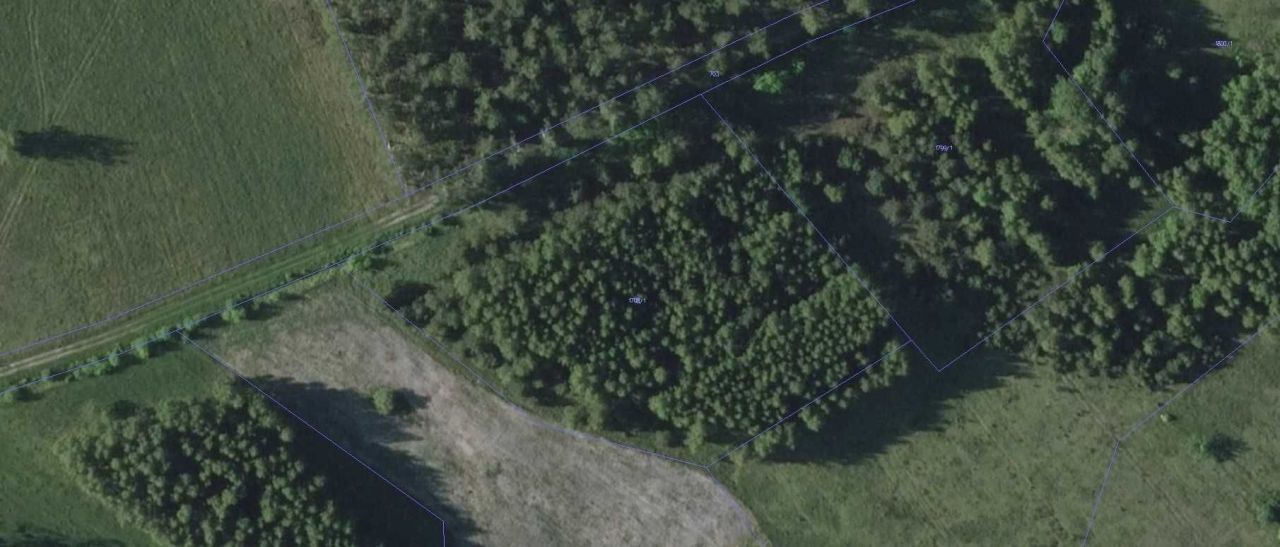 Działka rolno-budowlana Dąbrowy. Zdjęcie 4