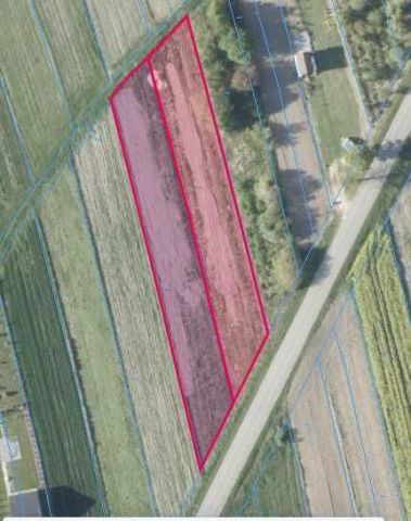 Działka budowlana Lipsko, ul. Obrońców Chotczy. Zdjęcie 1