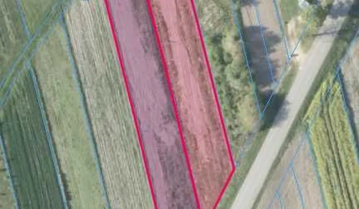 Działka budowlana Lipsko, ul. Obrońców Chotczy